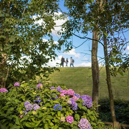 Diekwiefke Apartment